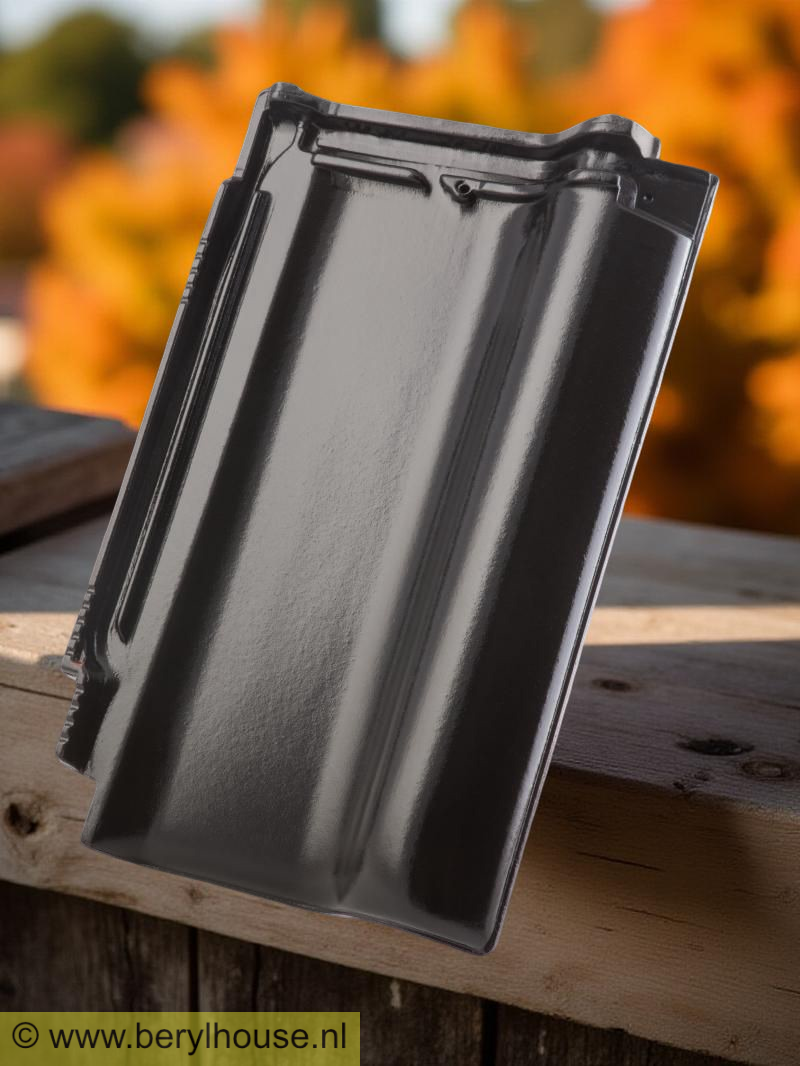 Dakpannen zwart mat verglaasd FD 10 (per m2)