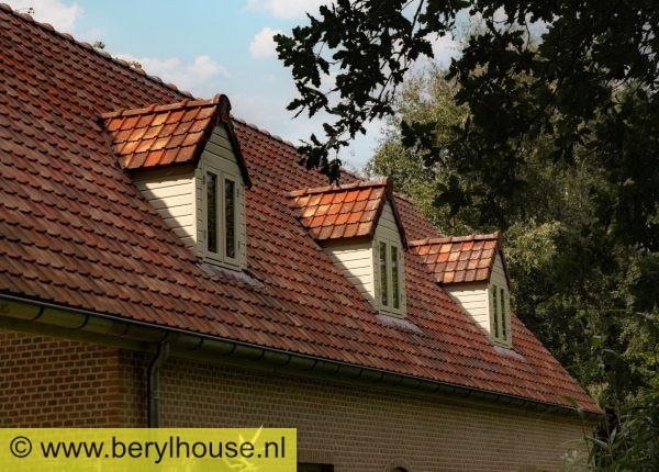 Dakpannen bont genuanceerd rustiek TUILE DU NORD 22 (per m2)