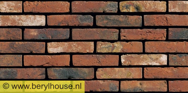 Metselstenen rood genuanceerd handvorm WF (per stuk)
