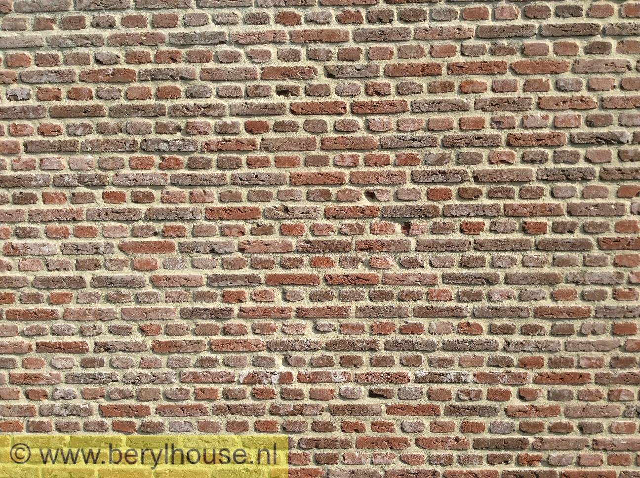 Metselstenen rood genuanceerd handvorm getrommeld WF (per stuk)