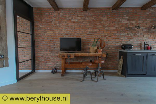 Baksteenstrippen kloostermoppen rood 250x18x68 mm (per m2)