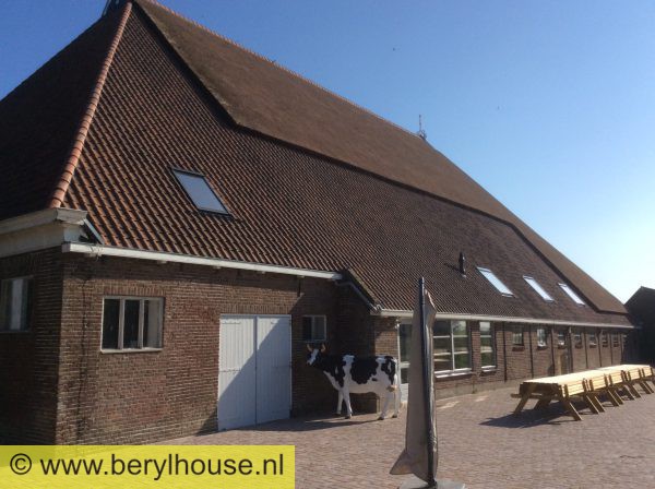Dakpannen rustiek roodbruin genuanceerd OUDE HOLLE 20 (per m2)