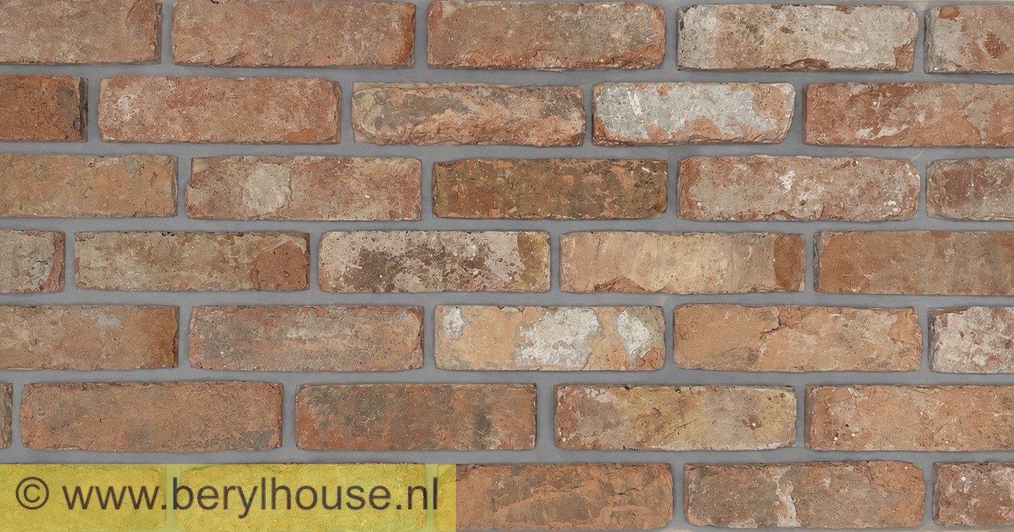 Baksteenstrippen kloostermoppen rood 250x22x68 mm (per m2)