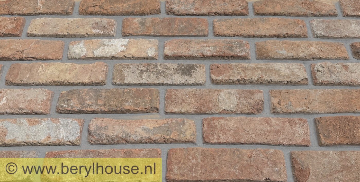 Baksteenstrippen kloostermoppen rood 250x22x68 mm (per m2)