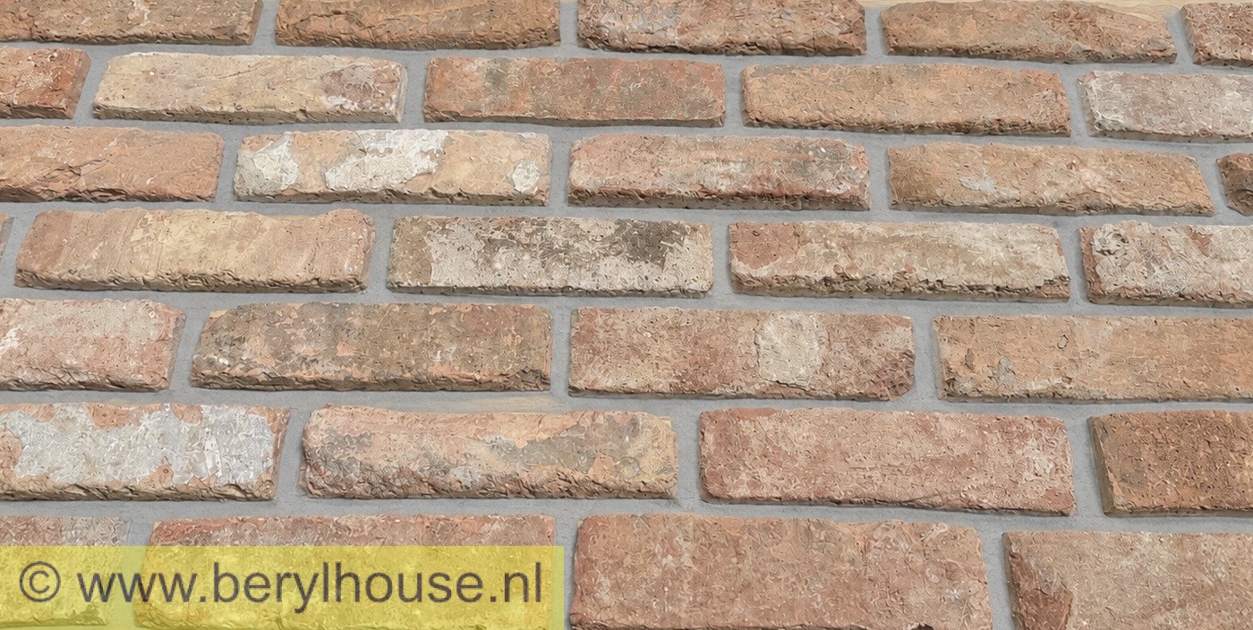 Baksteenstrippen kloostermoppen rood 250x22x68 mm (per m2)