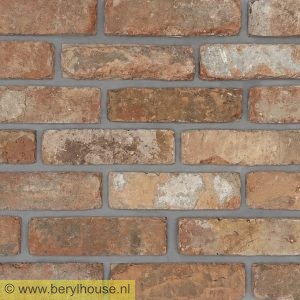 Baksteenstrippen kloostermoppen rood 250x22x68 mm (per m2)