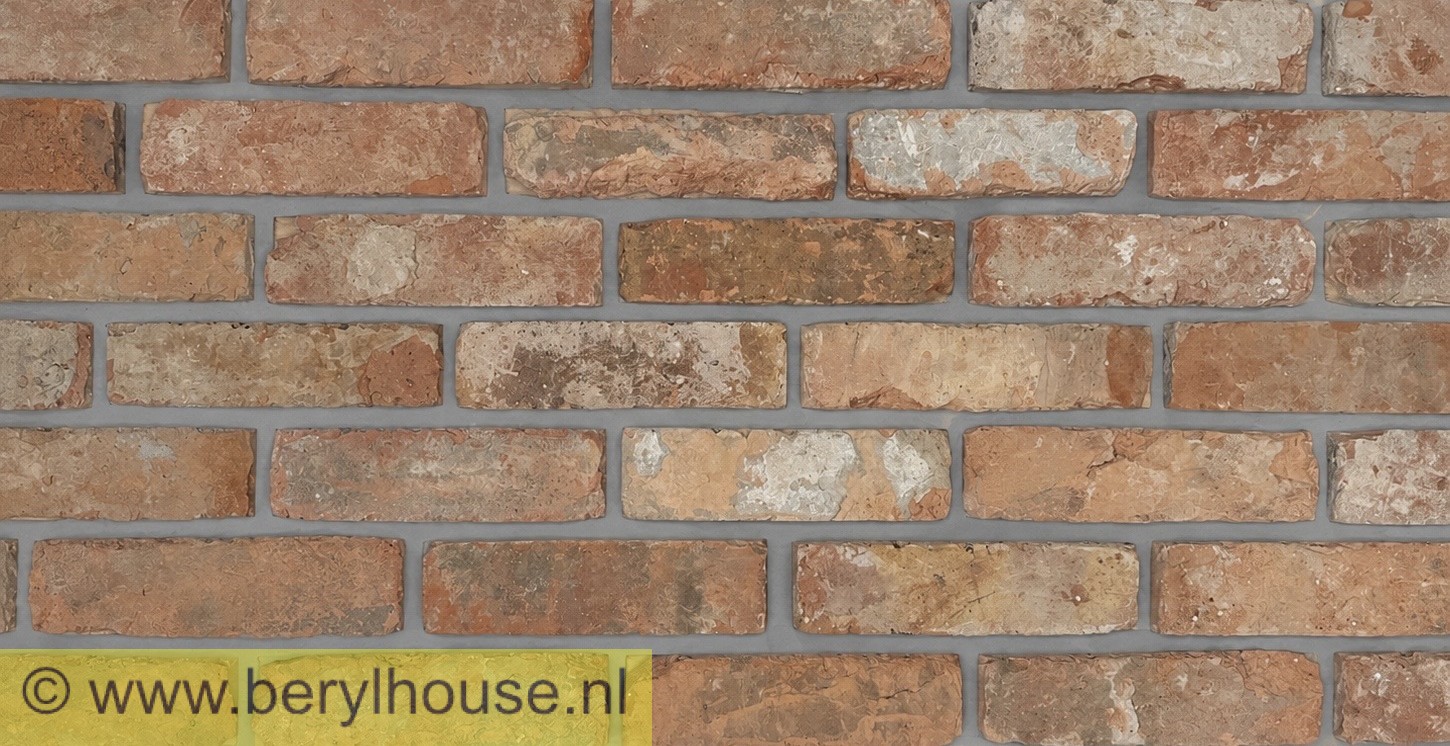 Baksteenstrippen kloostermoppen rood 250x22x68 mm (per m2)