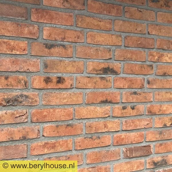 Metselstenen rood genuanceerd wasserstrich WF (per stuk)