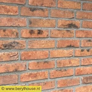 Metselstenen rood genuanceerd wasserstrich WF (per stuk)