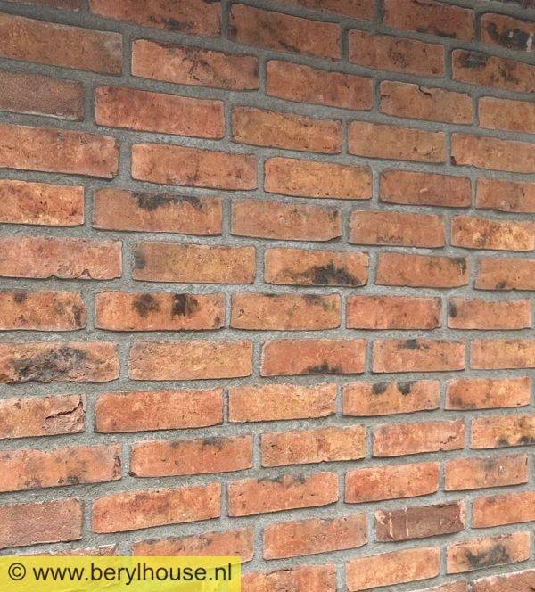Metselstenen rood genuanceerd wasserstrich WF (per stuk)