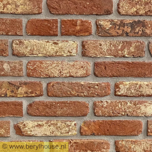 Metselstenen rood genuanceerd handvorm getrommeld M50 (per stuk)