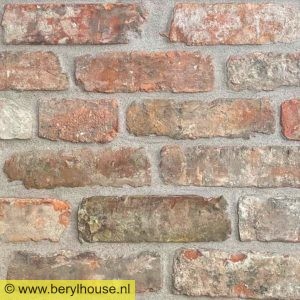 Baksteenstrippen kloostermoppen rood 250x22x68 mm (per m2)