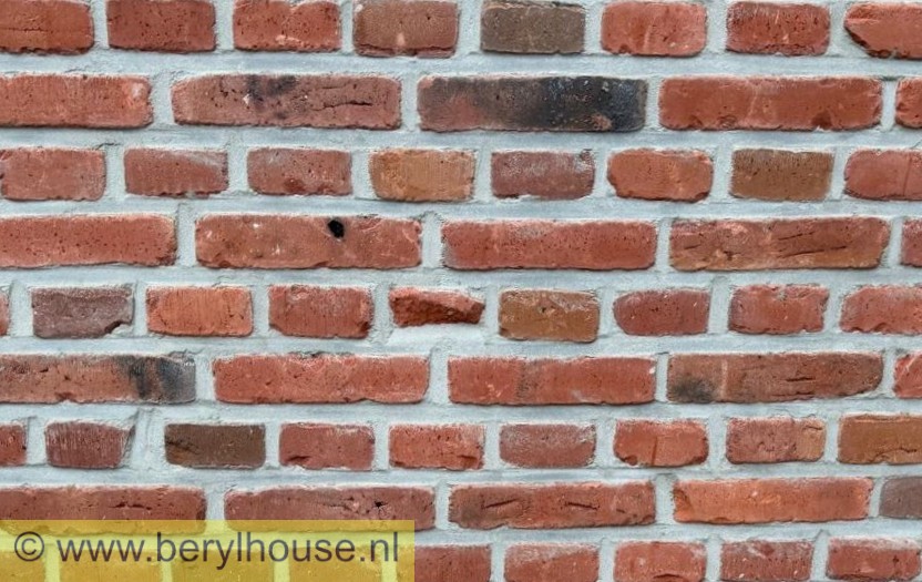 Metselstenen rood genuanceerd gesinterd wasserstrich getrommeld WF (per stuk)