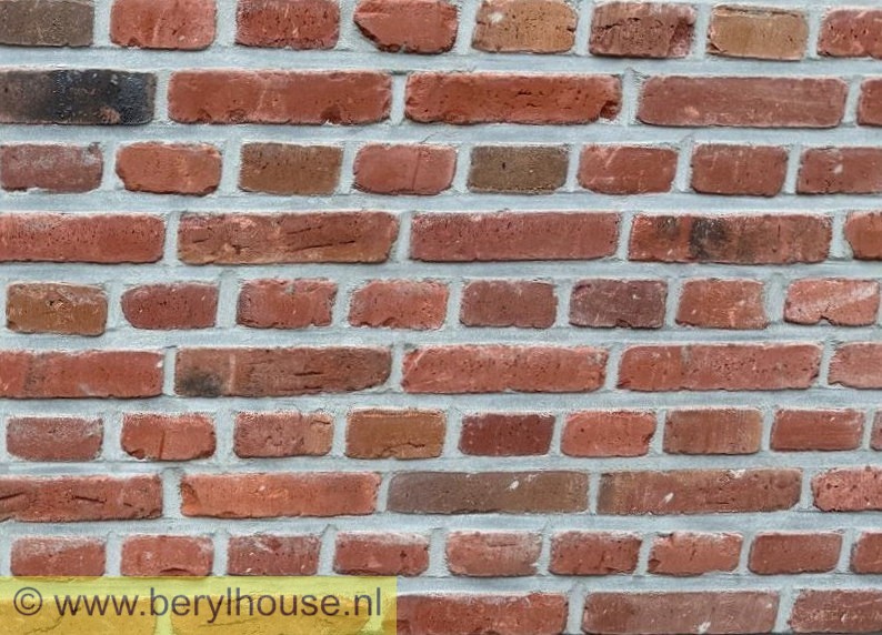 Metselstenen rood genuanceerd gesinterd wasserstrich getrommeld WF (per stuk)
