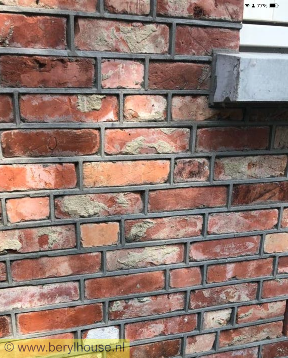 Metselstenen kloostermoppen rood 250x120x65 mm (per m2)